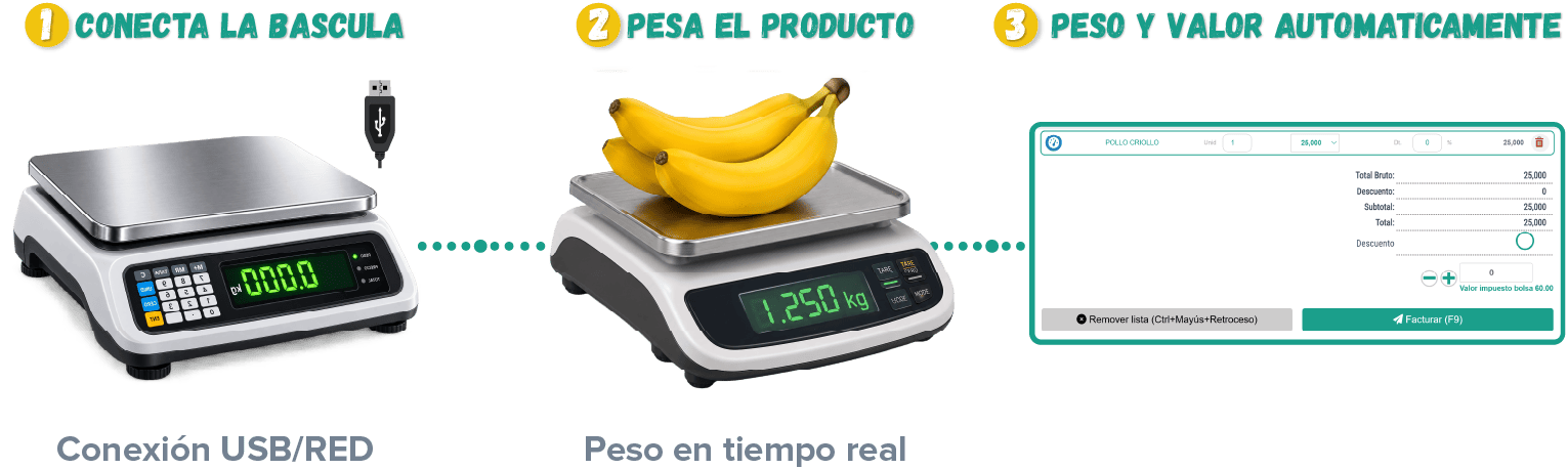 sistema para negocios y empresas
